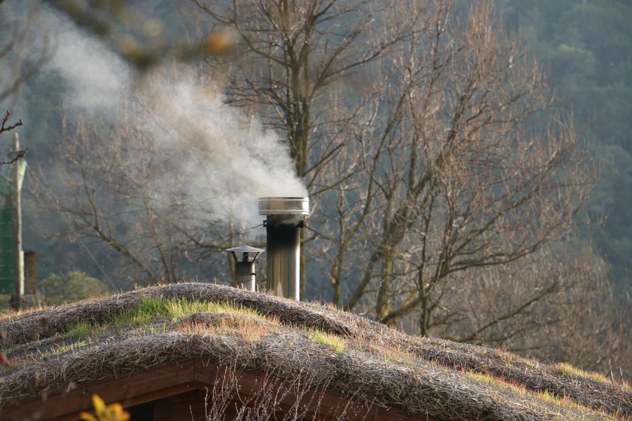Casa Ecologica En Plena Naturaleza Arboli Extérieur photo