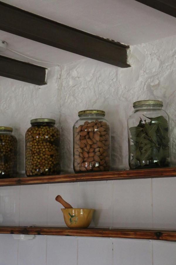 Casa Ecologica En Plena Naturaleza Arboli Extérieur photo